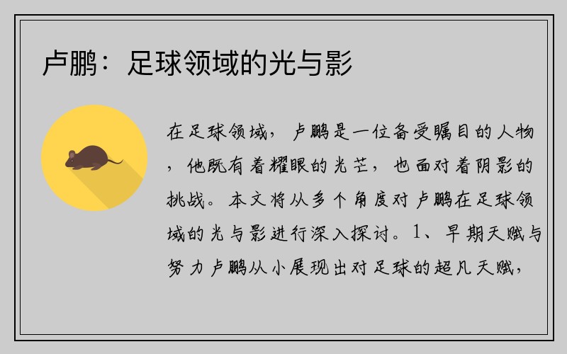 卢鹏：足球领域的光与影