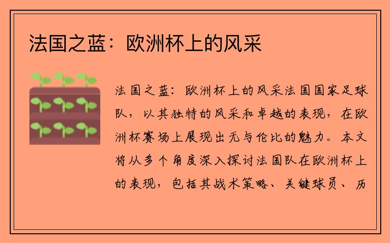 法国之蓝：欧洲杯上的风采